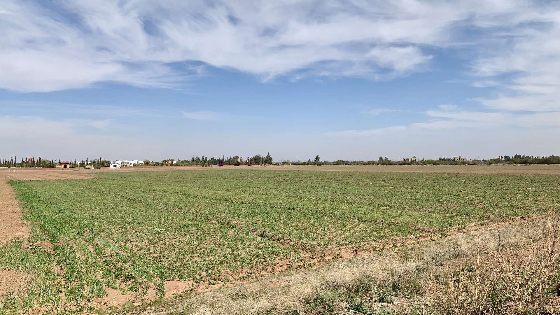 Vente,Terrains & Fermes,Lots de terrain d'1 Ha titrés et bien situés sur la route de l'Ourika ,Marrakech,Route de l'Ourika