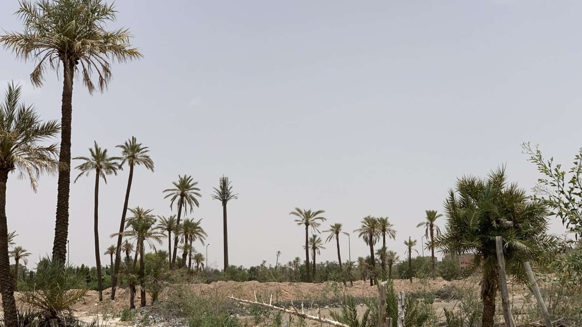 Vente,Terrains & Fermes,Terrain à la vente à Boumesmar. Surface de 9162.0 m²,Marrakech,Daoudiat