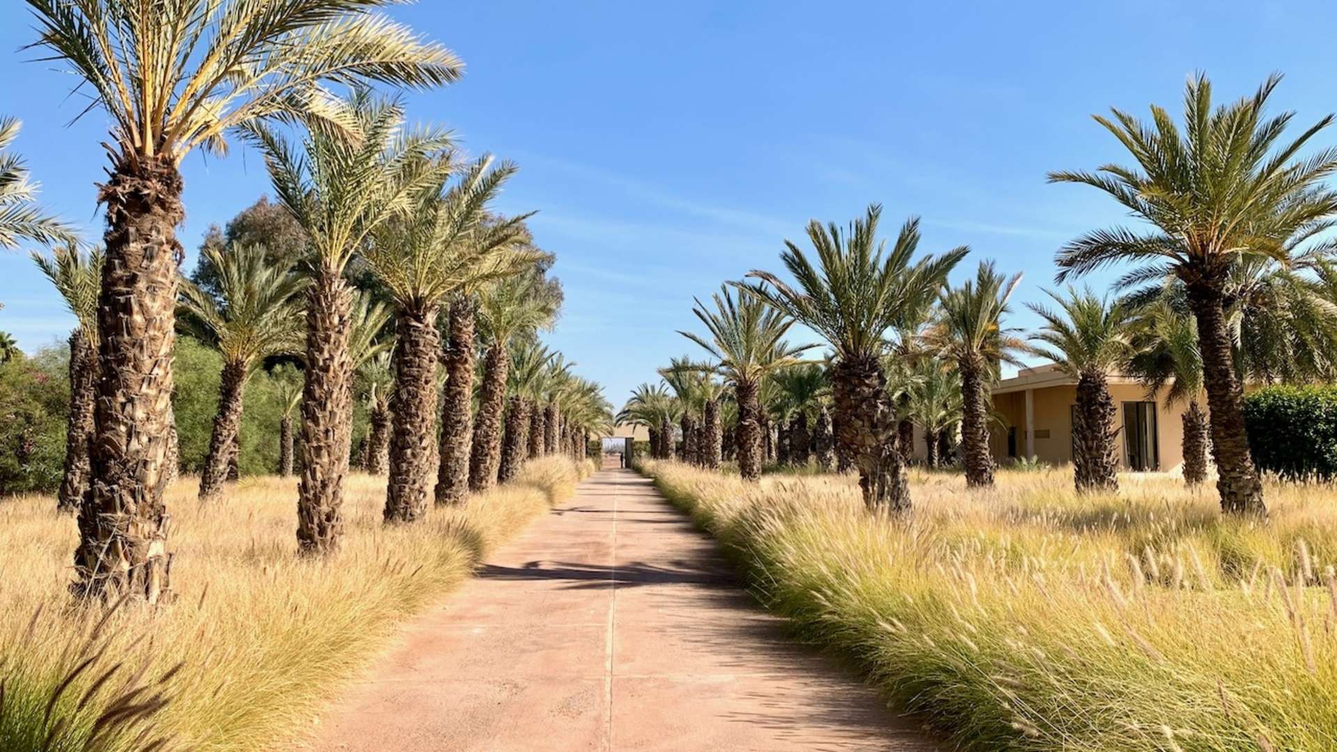 Vente,Villa,Propriété de maitre de 5 suites avec spa privé dans un parc magnifiquement paysagé de 2 Ha ,Marrakech,Route de l'Ourika
